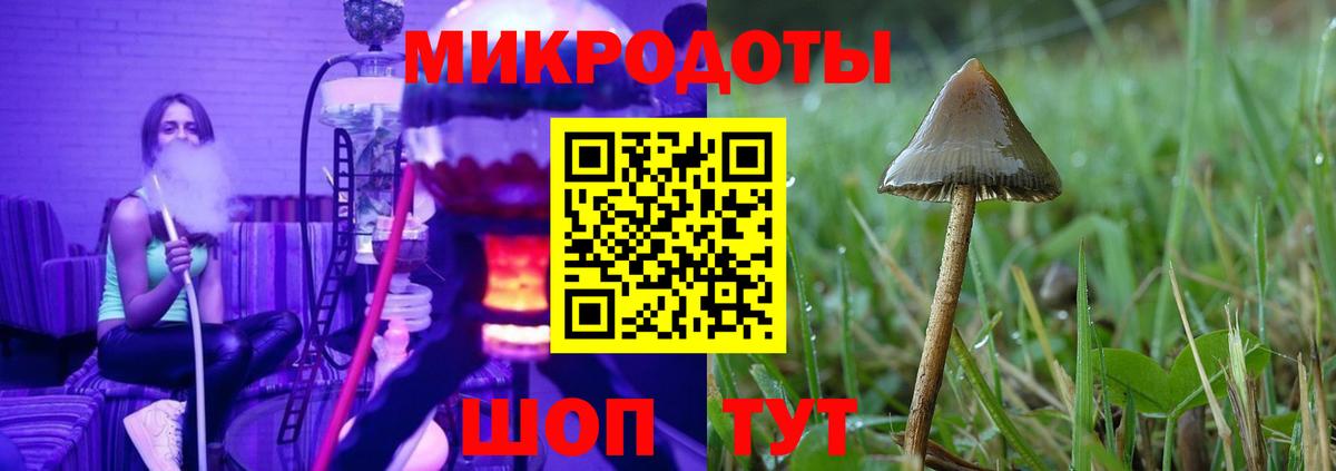 Галлюциногенные грибы мухоморы Елец